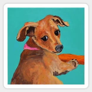 Chiweenie Bean & Carrot Sticker